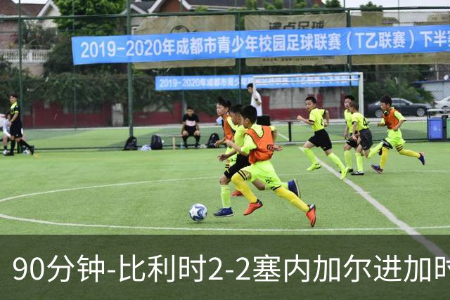 90分钟-比利时2-2塞内加尔进加时 卢卡库替补建功蒂莱曼斯绝平
